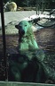 Medv&#283;d ledn? / Polar Bear